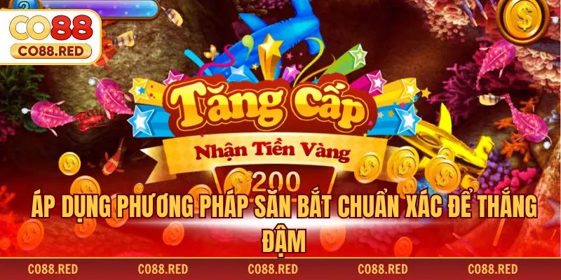 Áp dụng phương pháp săn bắt chuẩn xác để thắng đậm