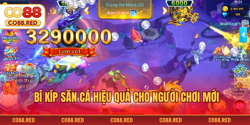 Bí kíp săn cá hiệu quả cho người chơi mới