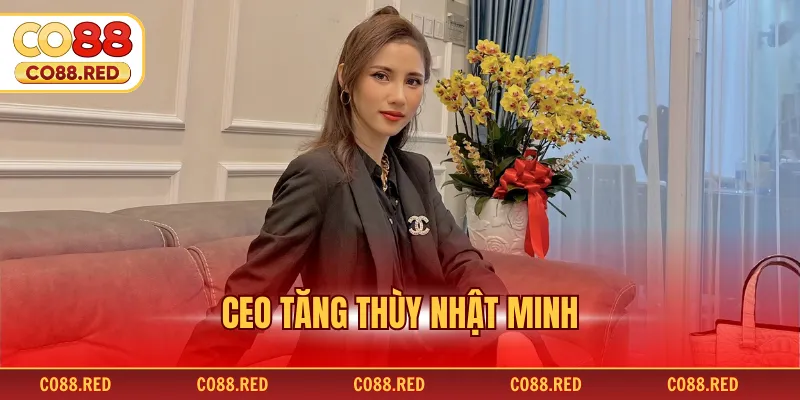 CEO Tăng Thùy Nhật Minh - Sứ Mệnh Nâng Tầm Giải Trí Số