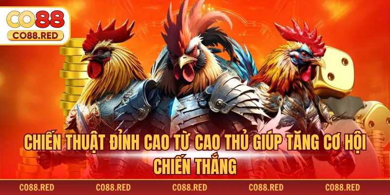 Chiến thuật đỉnh cao từ cao thủ giúp tăng cơ hội chiến thắng