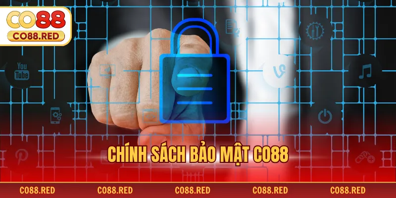 Chính Sách Bảo Mật CO88 - Nâng Tầm Trải Nghiệm Cá Cược