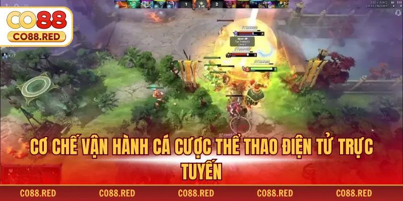 Cơ chế vận hành cá cược thể thao điện tử trực tuyến