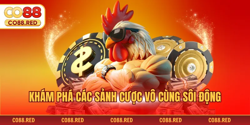 Khám phá các sảnh cược vô cùng sôi động