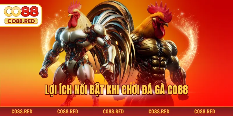 Lợi ích nổi bật khi chơi đá gà CO88