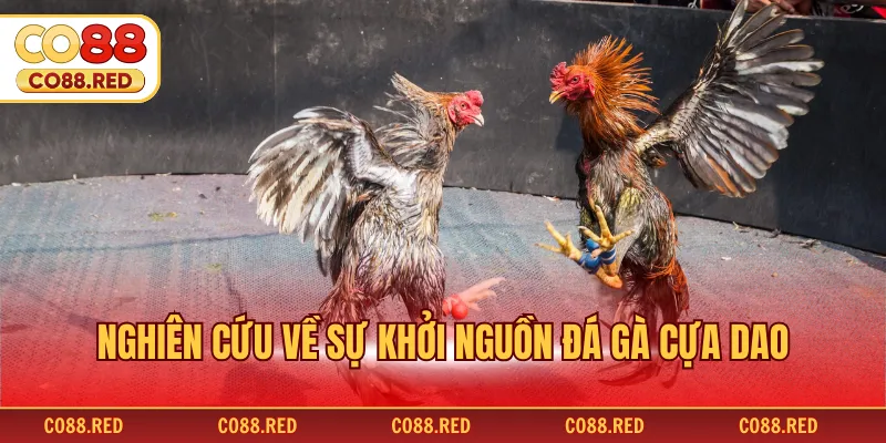 Nghiên cứu về sự khởi nguồn đá gà cựa dao