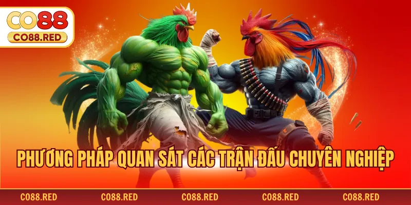 Phương pháp quan sát các trận đấu chuyên nghiệp