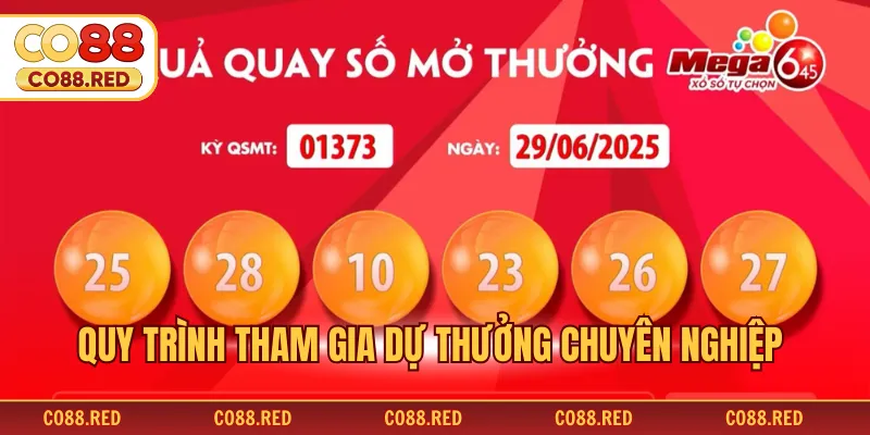 Quy trình tham gia dự thưởng chuyên nghiệp