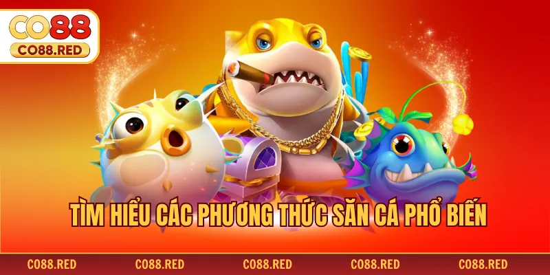 Tìm hiểu các phương thức săn cá phổ biến