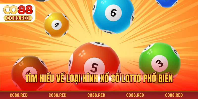 Tìm hiểu về loại hình xổ số lotto phổ biến