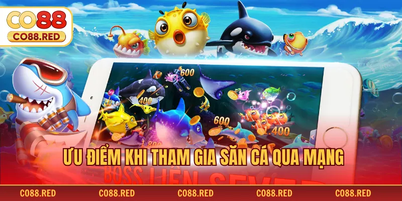 Ưu điểm khi tham gia săn cá qua mạng